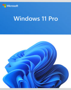 microsoft windows 11 pro upgrade