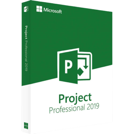 project 2019 professional